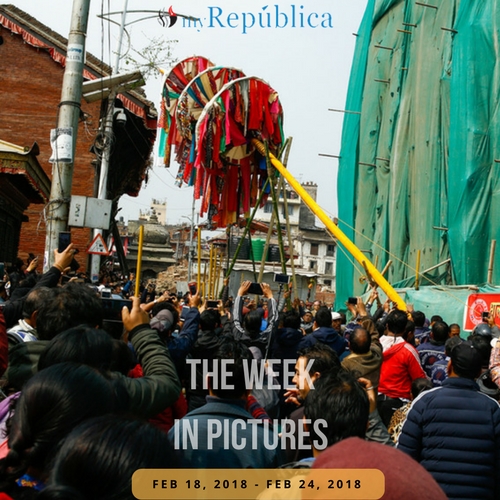 week in pics cover feb 24.jpg